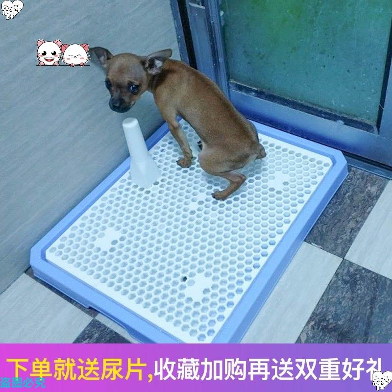 极速室内托盘狗狗上厕p所神器 大型柴犬狗便盆尿垫垫子小号比熊单