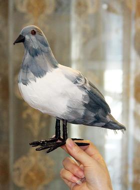 极速仿真装饰摆饰羽毛o鸟鸽子家居小鸟假鸟类模型道具灰动物标本