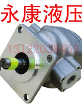 极速液压油泵高压齿轮泵GPY-9R油泵 GPY-10R GOPY-11.5R 齿轮泵