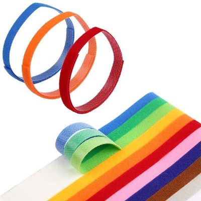 极速12 Pcs/Set Dog Collars Puppy Newborn Pets IdenVtify Coll