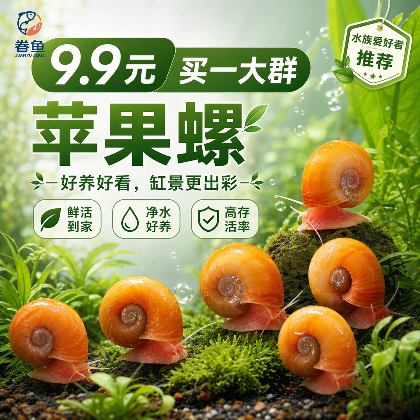 苹果螺除藻螺迷你观赏螺蜗牛工具螺水草缸除苔清理残食清洁螺包邮
