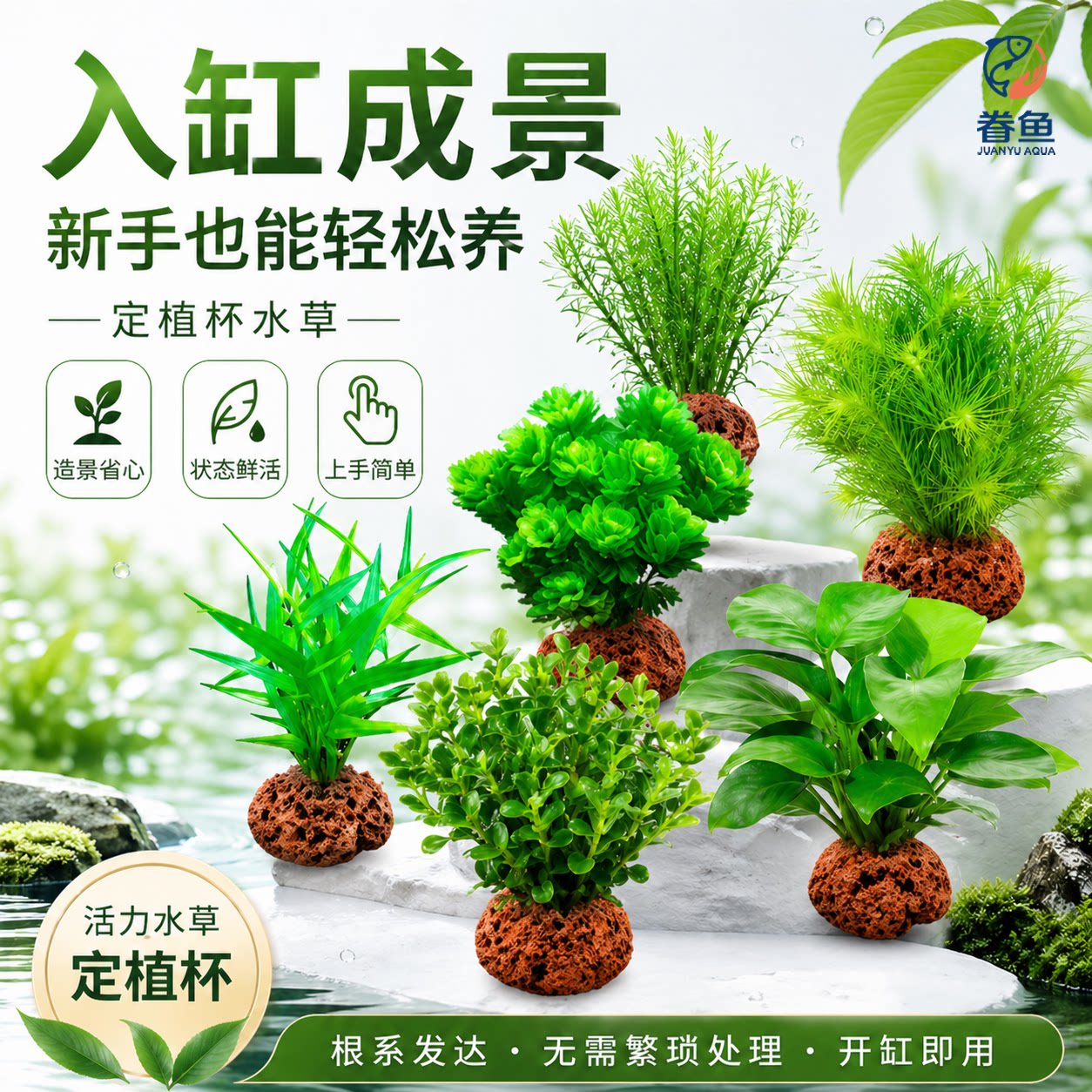 水草植物鱼缸造景套餐阴性水榕蜈蚣草水兰真草火山石懒人水草装饰