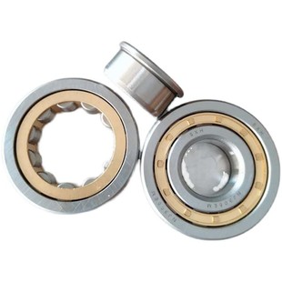 NF307 NF306 NF308 NF309 NU2319 长圆柱滚子轴承NF304 310 NF305