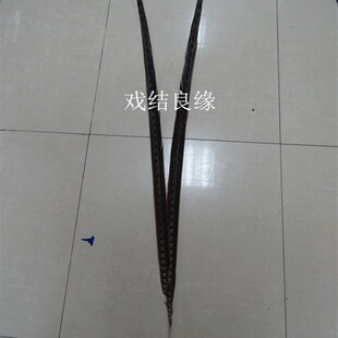 极速京剧翎子g戏曲用品舞台表演羽毛山鸡毛野鸡尾地鸡毛翎子 雉鸡