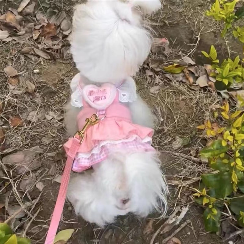极速牵引绳牛仔裙宠物背心公主衣服泰迪H比熊猫咪小型狗狗裙子薄