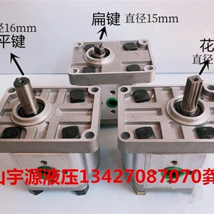 F306 325高压 新品 F304 F31R6 F320 F314 淮安万科齿轮泵CBN F310