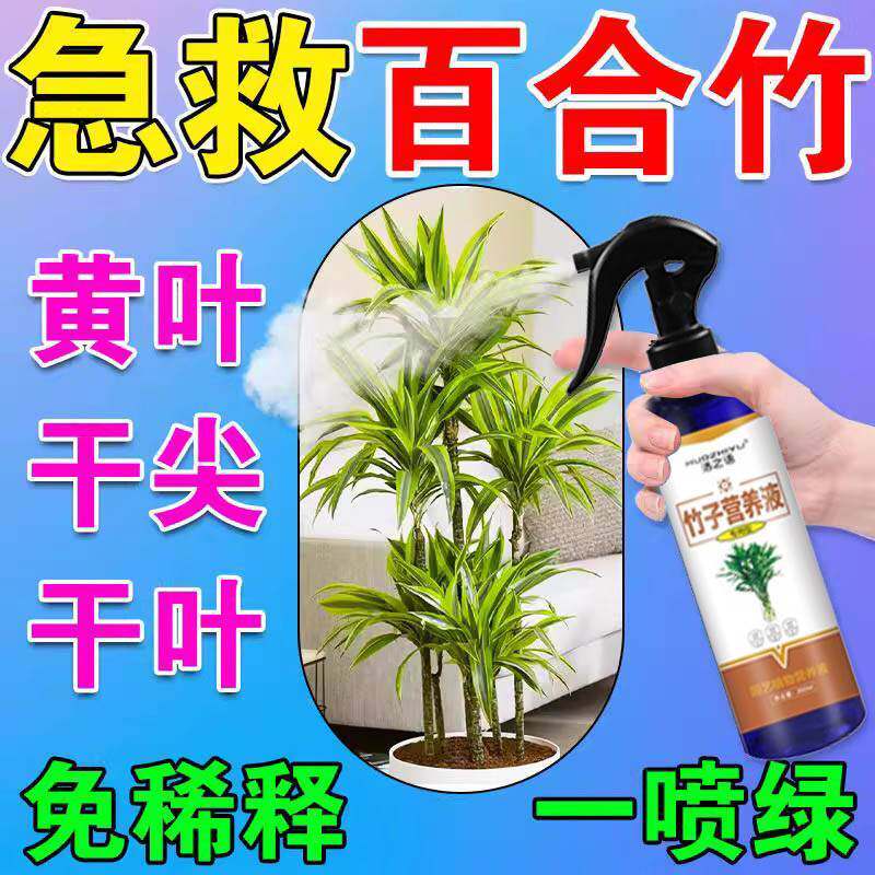 新品百合竹肥料叶发黄枯尖掉叶烂根锈斑病K绿植专用免稀释一喷绿