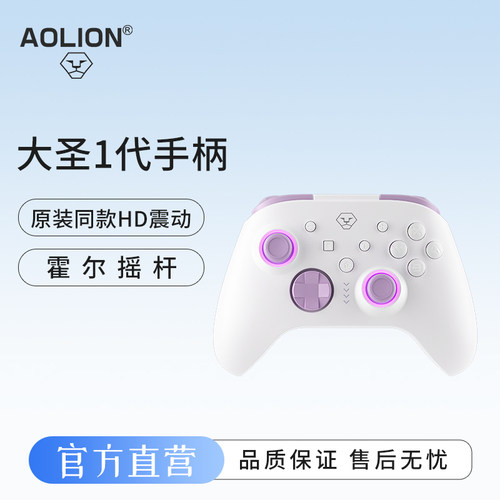 澳加狮大圣1代游戏手柄HD震动