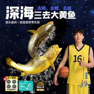 裕鲜舫国信1号三去大黄鱼深海野游养殖鲜冻黄花鱼海鲜水产品300g