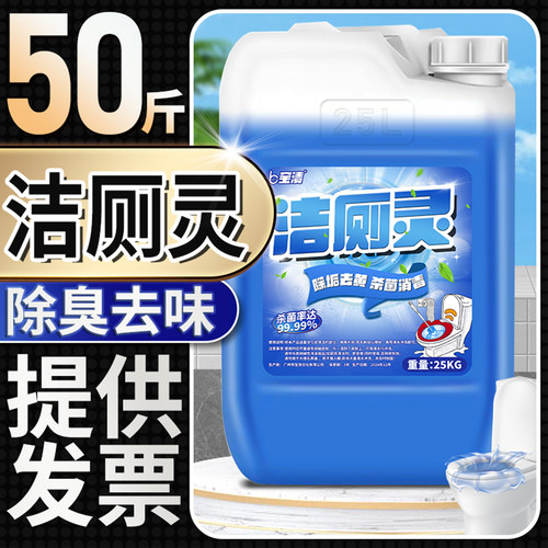 宝渍清香型50斤除尿污垢洁厕剂精
