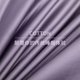 100S全棉长绒棉贡缎纯色枕套48 74单人枕芯套纯棉高端素色一对拍2