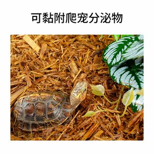 reptizoo爬宠树皮陆龟蜥蜴蛇鬃狮爬虫箱森林地表造景除臭保湿垫材