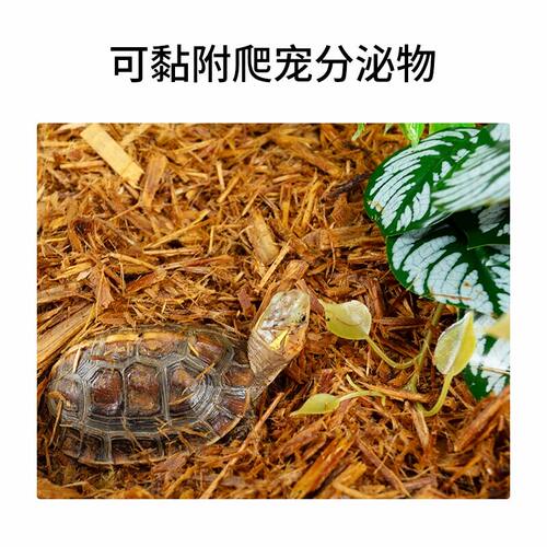 reptizoo爬宠树皮陆龟蜥蜴蛇鬃狮爬虫箱森林地表造景除臭保湿垫材
