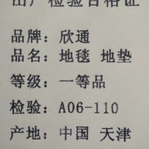 丝毛地毯客厅长方形可水洗沙发茶几地毯卧室房间满铺地毯床边飘窗