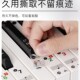 54键通用电子琴手卷钢琴琴贴钢琴键盘贴纸五线谱简谱键位贴