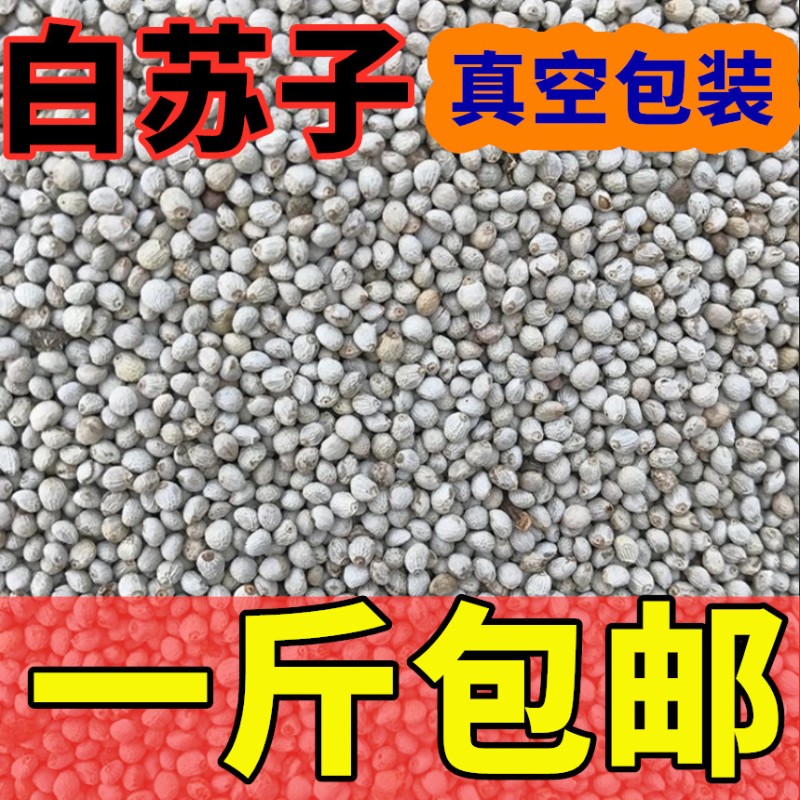 2021年白苏子软苏子鸟食鸟粮饲料 鹦鹉金丝雀芙蓉鸟黄雀500克