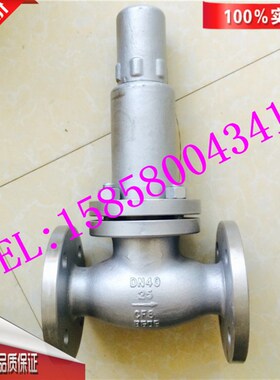 AH42F/AHN421F-16C/40C-DN50永一碳钢水平式立式液相安全回流阀