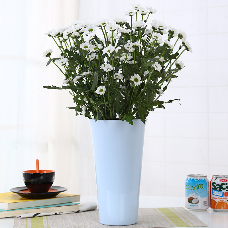 简约欧式插花瓶小清新创意鲜花风信子玫瑰富贵竹百合绿萝水培花瓶