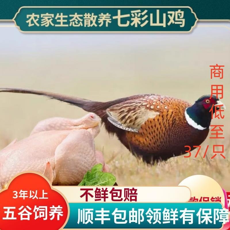 酒店餐馆食堂拓品新鲜食材批发七彩山鸡鹧鸪跑山猪鳄鱼娃娃鱼鹿等