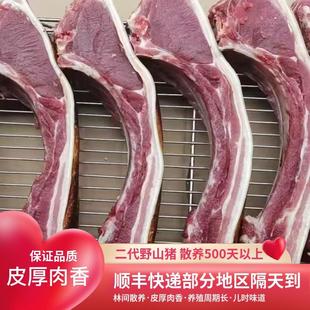 土鲜福野二代跑山猪黑猪肉土猪肉新鲜五花肉粮食猪肉农家猪肉顺丰