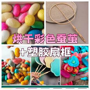 做蚕丝扇的材料蚕茧壳可抽丝做扇子彩色彩色蚕茧球染色抽丝扇完整
