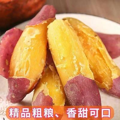 正宗临安天目山小香薯黄