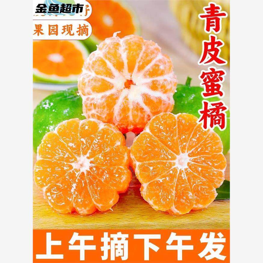 云南蜜橘当季新鲜水果9斤整箱包邮孕妇青皮砂糖橘子10小柑橘桔子