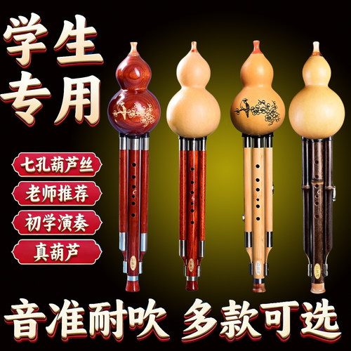 老师推荐课堂葫芦丝音乐课专用