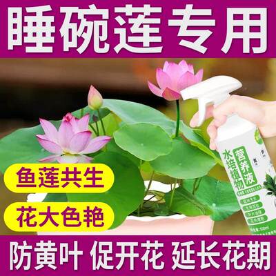 碗莲专用营养液睡莲荷花养花肥料水培观赏花卉绿色植物生根专用肥