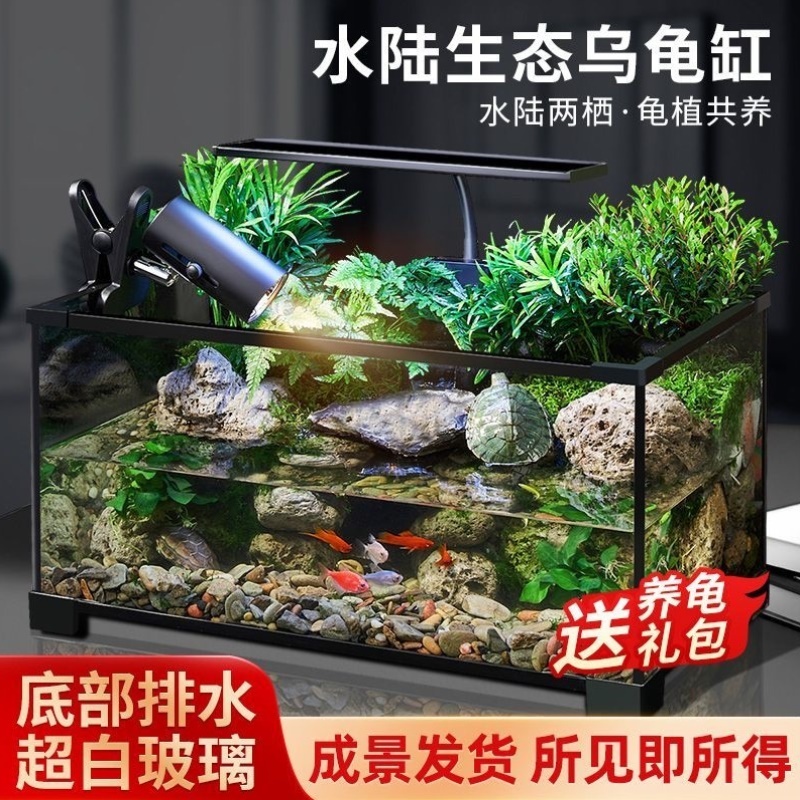 乌龟缸高清玻璃生态造景龟鱼缸一体混养生态缸客厅专用家用饲养缸