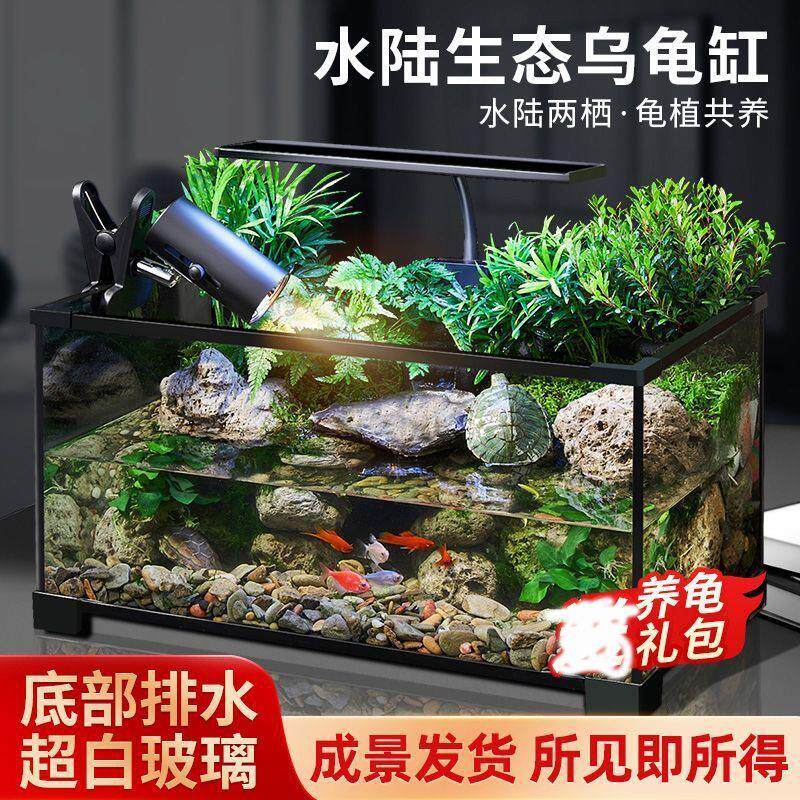 乌龟缸高清玻璃生态造景