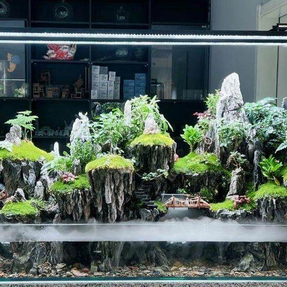 成品发货水陆缸山水雨林