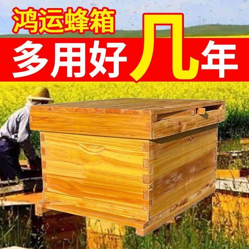 中蜂蜂箱全套标准杉木十