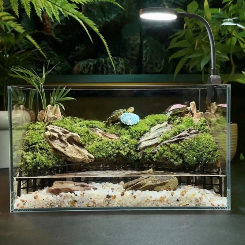 超白缸养乌龟专用缸水陆微景观水族鱼缸DIY造景缸生态缸水陆两栖