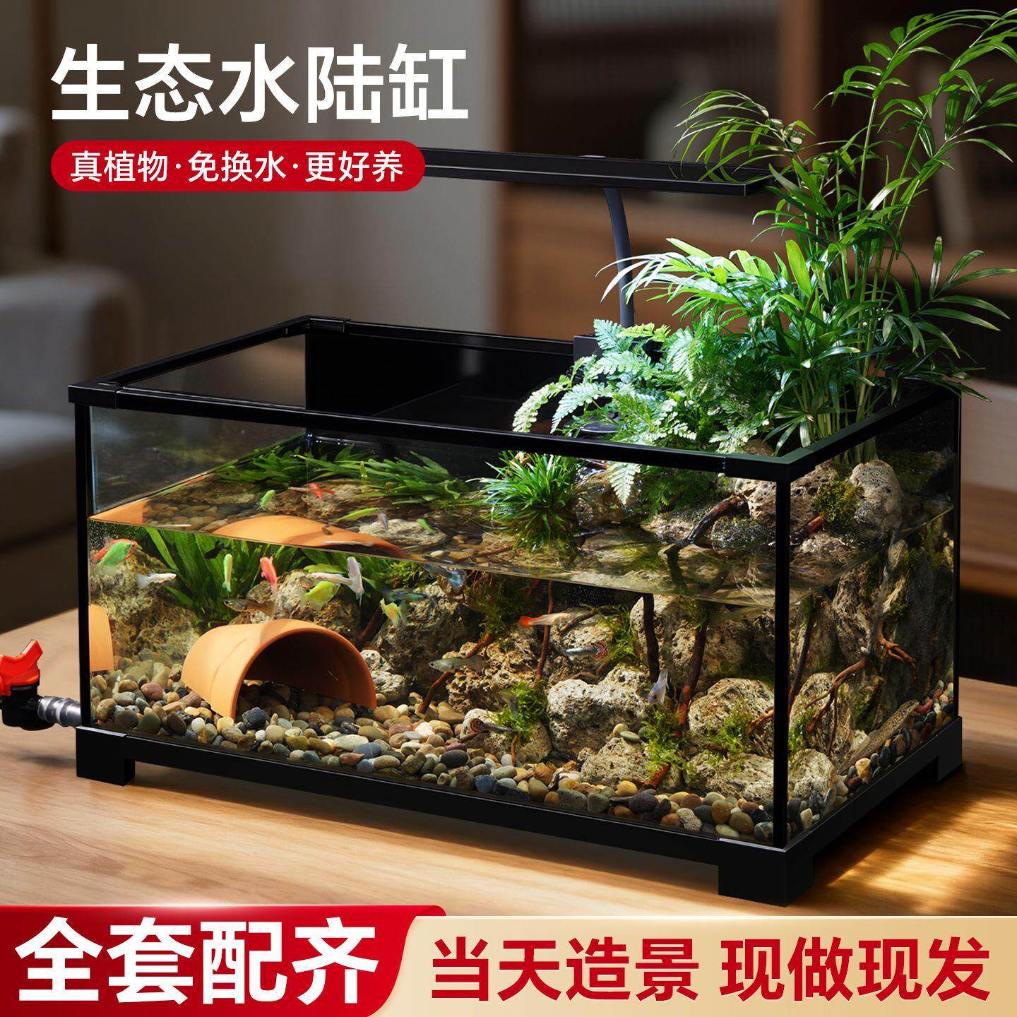 鱼缸造景全套生态家用玻