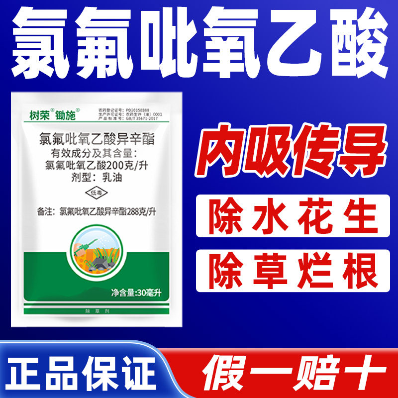 氯氟吡氧乙酸异辛酯水花生除草剂