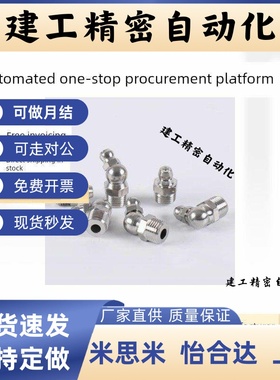 Ble11/Ble15/Ble31/Ble35-1 2 6 6A 8 10黄油喷嘴直接油