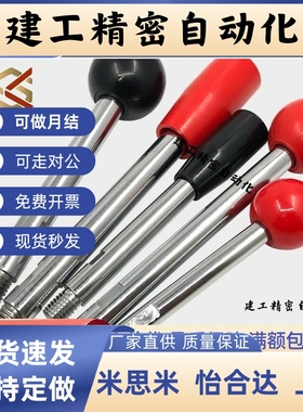 不锈钢球形握柄把手LBGS6/8/10/12-63/80/100/125/160/200-R B