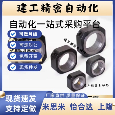 精密BNTA螺母LEB81-M20/M6/M8/M10/M12/M16/M17/M25/M30LEB82