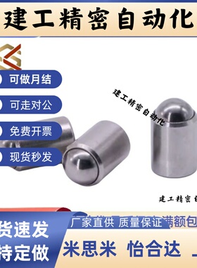 PFSSN2球头10P柱塞12C-PFSSR3 4 5 6 8定位珠20波珠PFPSN10