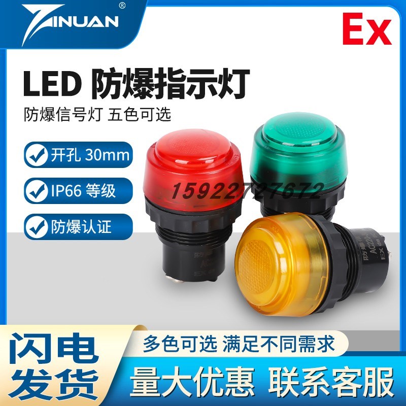 JS8030防爆信号灯指示灯DC24V36VAC22I0V380V红绿防爆配电箱LED灯