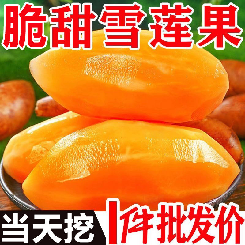 天山雪莲果新鲜水果应当季云南孕妇红心雪连果斤黄心特整箱包邮9