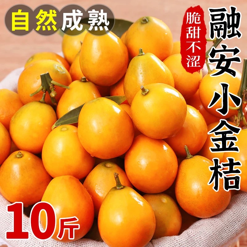 正宗广西桂林脆皮金桔现摘新鲜水果纯甜不酸小金桔小桔子金柑纯甜