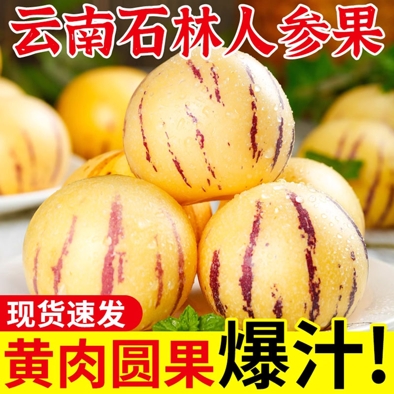 云南石林树上熟人参果
