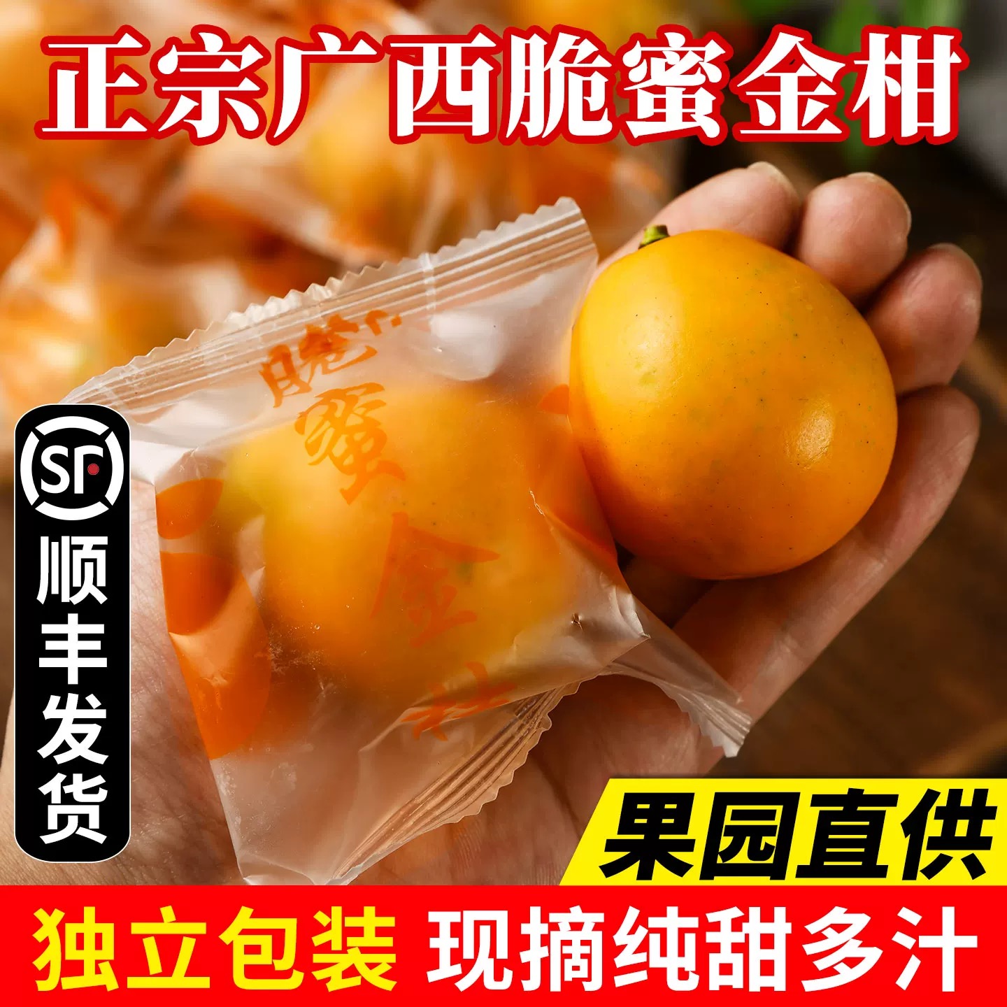 正宗第三代金桔脆蜜金柑！