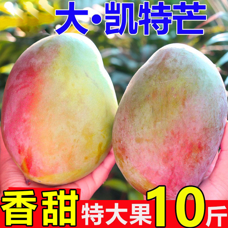 特大果 四川攀枝花凯特芒果10斤新鲜水果青皮大当季热带整箱包邮9