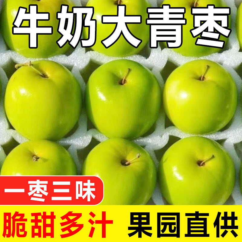 新鲜牛奶大青枣枣贵妃冬枣时令水果当季农家现摘整箱奶油脆枣包邮