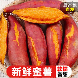 现货红薯新鲜10斤农家地瓜沙地小山芋包邮5自种番薯板栗红薯蜜薯