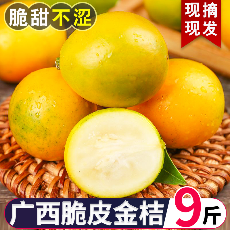 广西脆皮金桔新鲜水果桔子当季纯甜蜜小金柑桔金橘融安特产整箱5