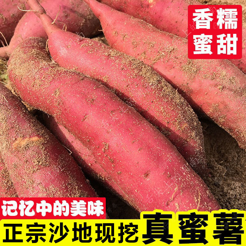蜜甜新鲜蜜薯红心红薯西瓜红地瓜薯农家正宗番薯红署软糯香甜 - 臻桐食品旗舰店出品
